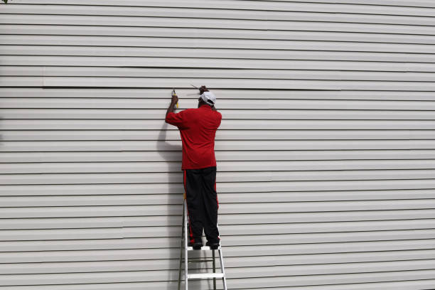 Best Custom Siding Design  in Nevada City, CA